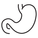 Stomach icon