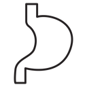 Stomach icon