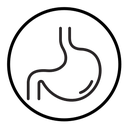 Stomach icon