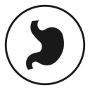 Stomach 3 icon