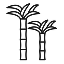 Sugar cane icon