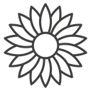 Sunflower icon