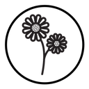 Sunflower icon