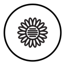 Sunflower icon