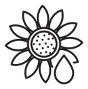 Sunflower oil icon