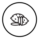 Sweet potato icon