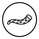 Tentacles octopus icon