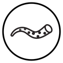 Tentacles octopus icon