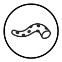 Tentacles octopus icon