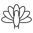 Thanksgiving peacock icon