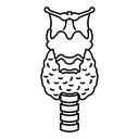 Thyroid 2 icon