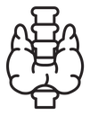 Thyroid gland icon