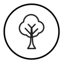 Tree (2) icon