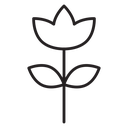 Tulip icon