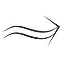 Undulating arrow icon