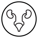 Urinary system Black Outline icon