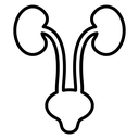Urinary System icon