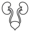 Urology Black Outline icon