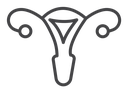 Uterus icon