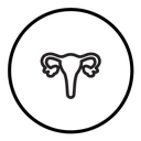 Uterus icon