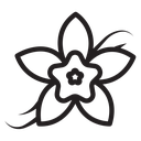 Vanilla icon