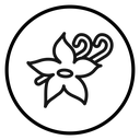 Vanilla icon