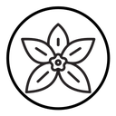 Vanilla icon