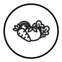 Vegetable icon