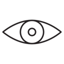 Visible icon
