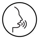 Voice recognition icon