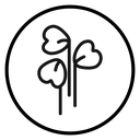 Watercress vegetable icon