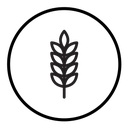 Wheat grain Black Outline icon