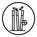 Wicket Stump icon