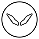 Wings icon