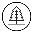 Winter tree icon