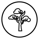 Winter tree icon