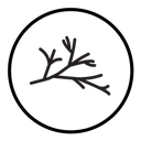 Wood branch icon