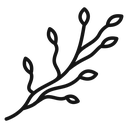 Wood branch icon