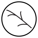 Wood branch icon