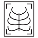 X ray icon