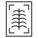 X ray icon