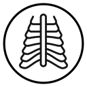 X-ray icon