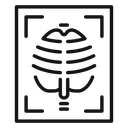 X-ray icon
