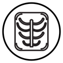 X-ray scan icon