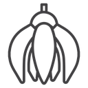 Ylang ylang icon