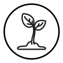 Young sprout icon