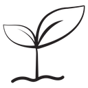 Young sprout icon