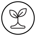 Young sprout icon