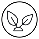 Young sprout icon