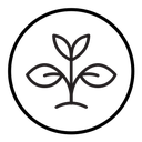 Young sprout icon